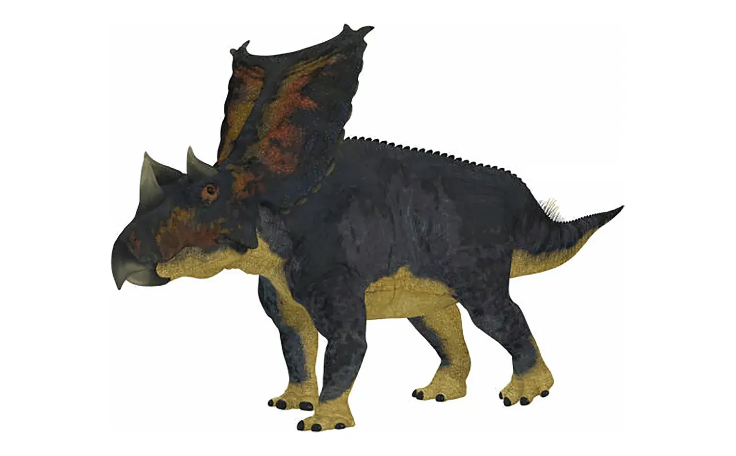 カスモサウルス