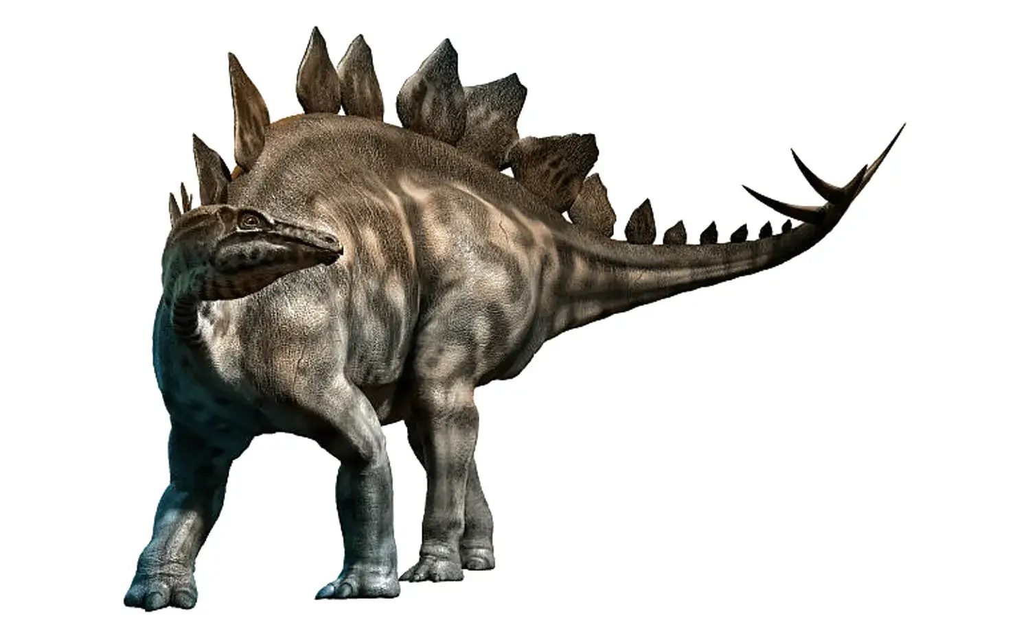 ステゴサウルス