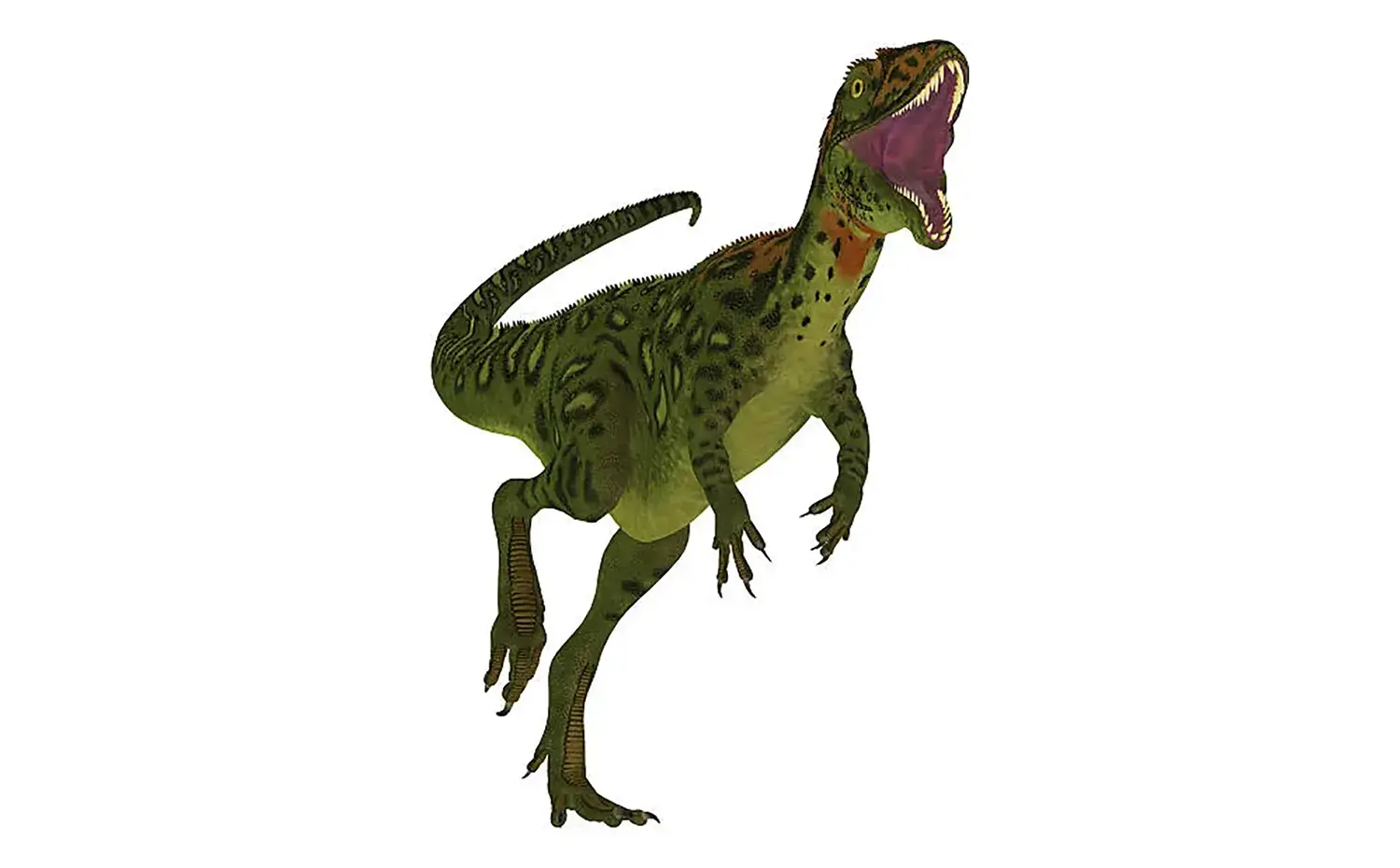 マシアカサウルス