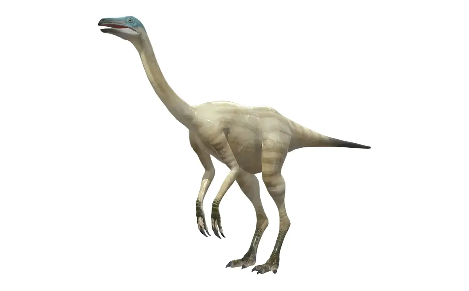 ストルティオミムス