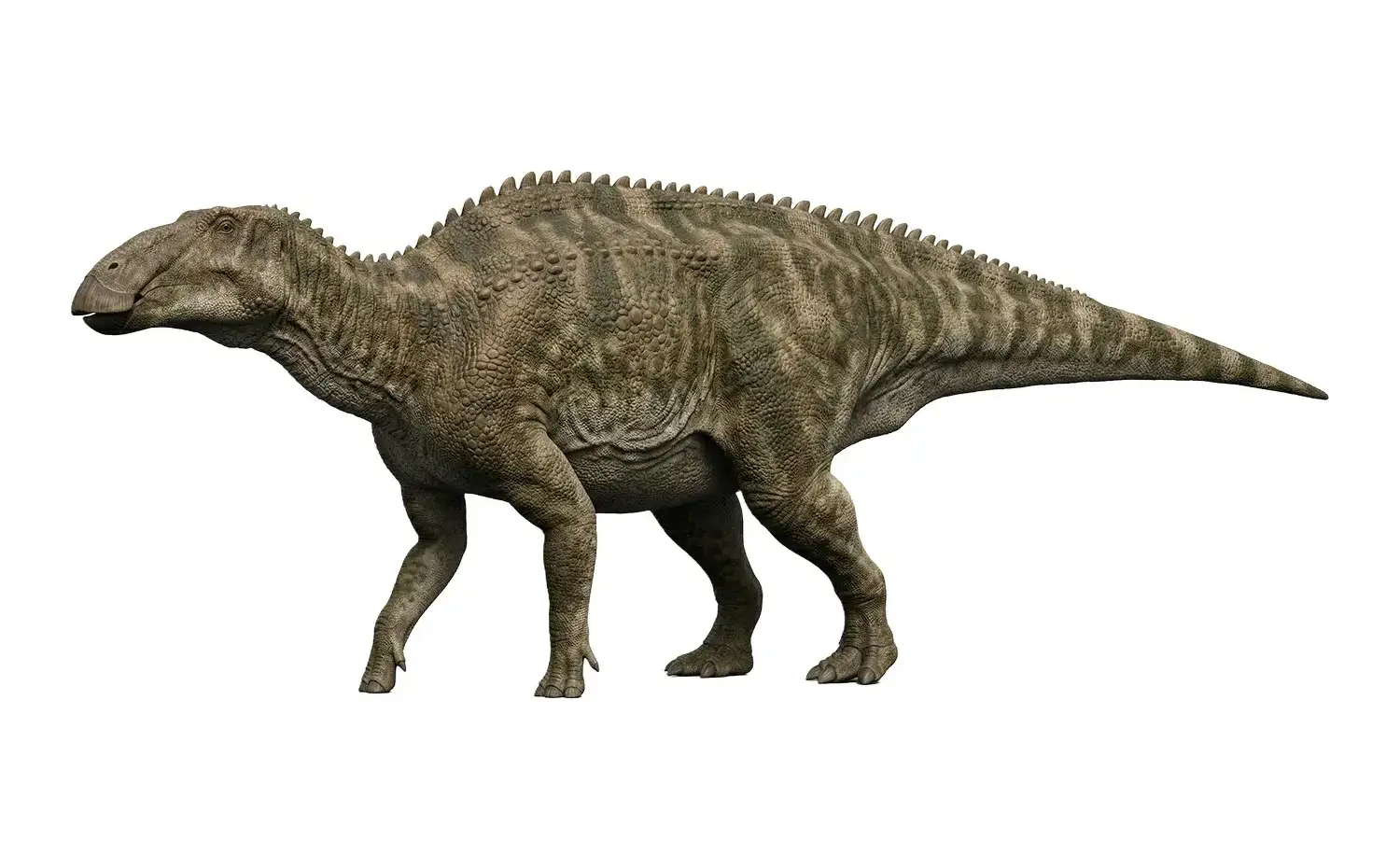 ケルベロサウルス