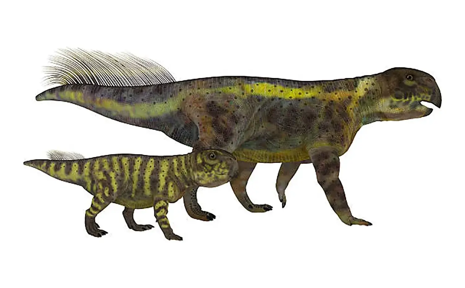 プシッタコサウルス