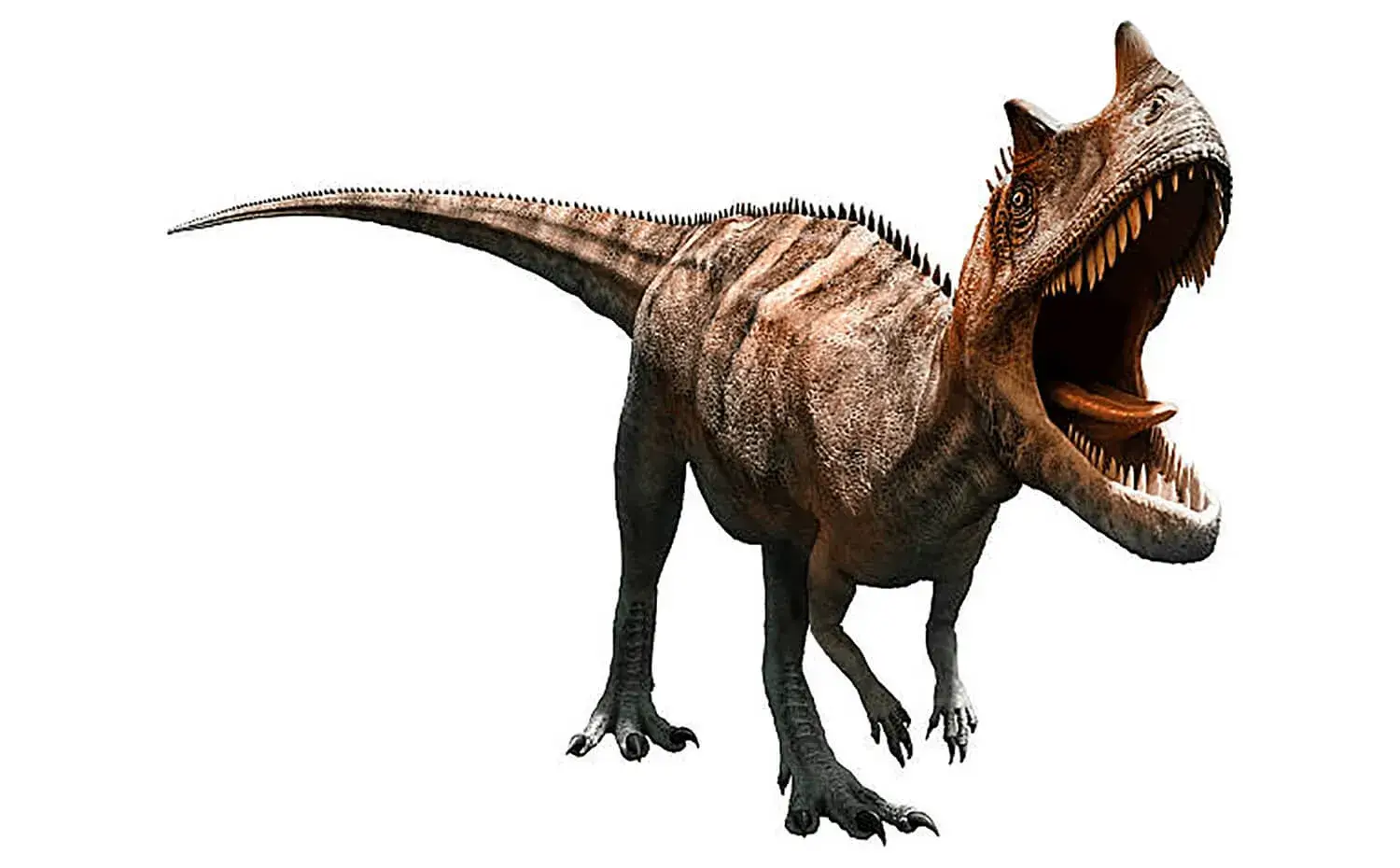 ケラトサウルス