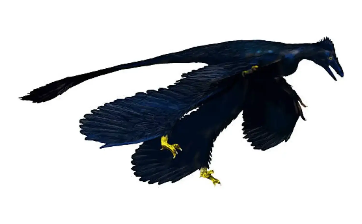 Microraptor