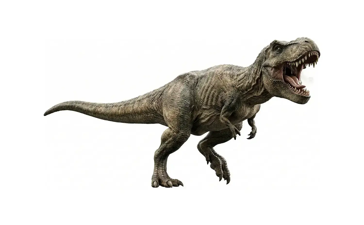 ティラノサウルス