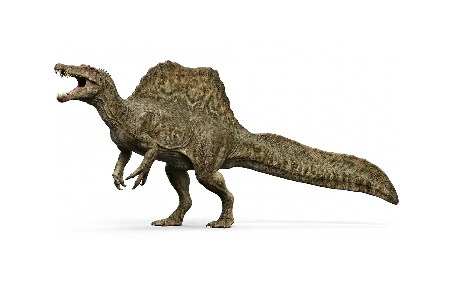 スピノサウルス