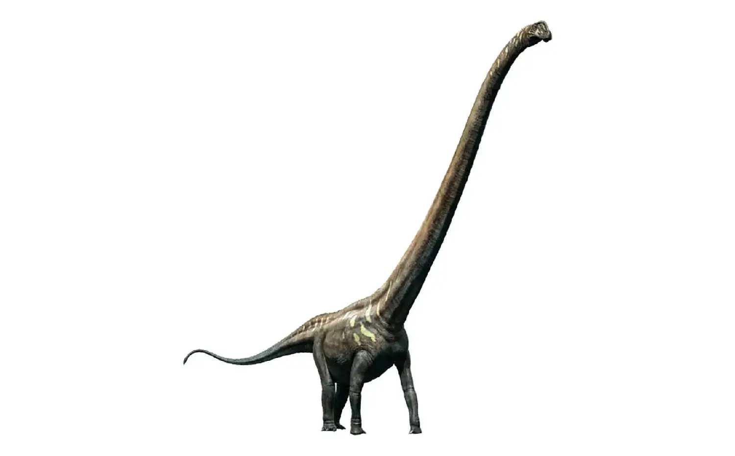 マメンチサウルス