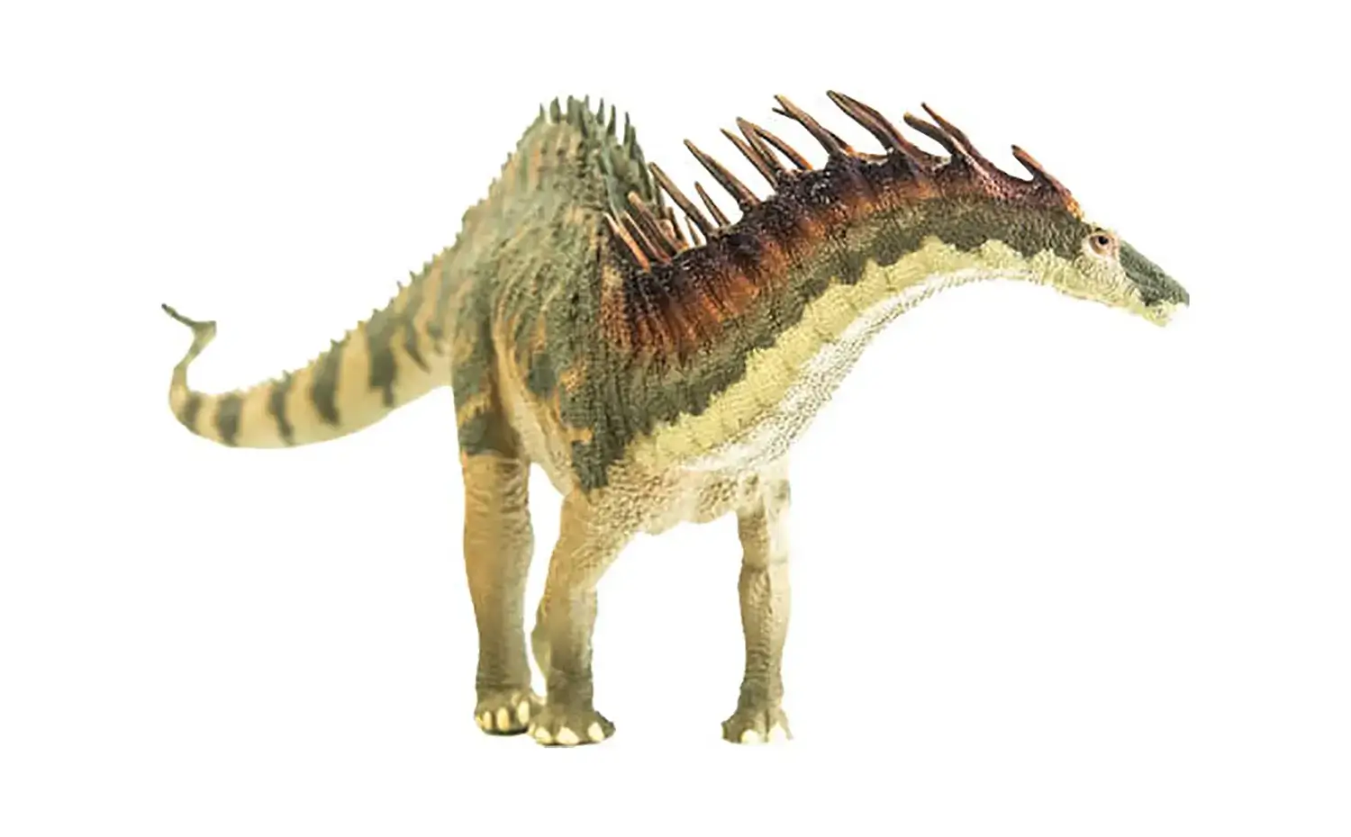 アマルガサウルス