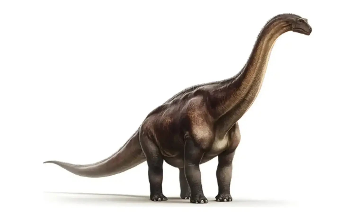 パタゴティタン