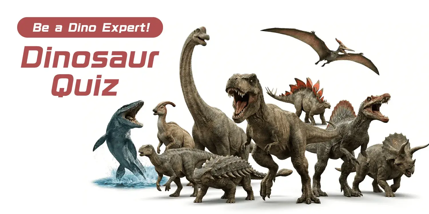 Aim to be a Dinosaur Expert! Dinosaur Quiz