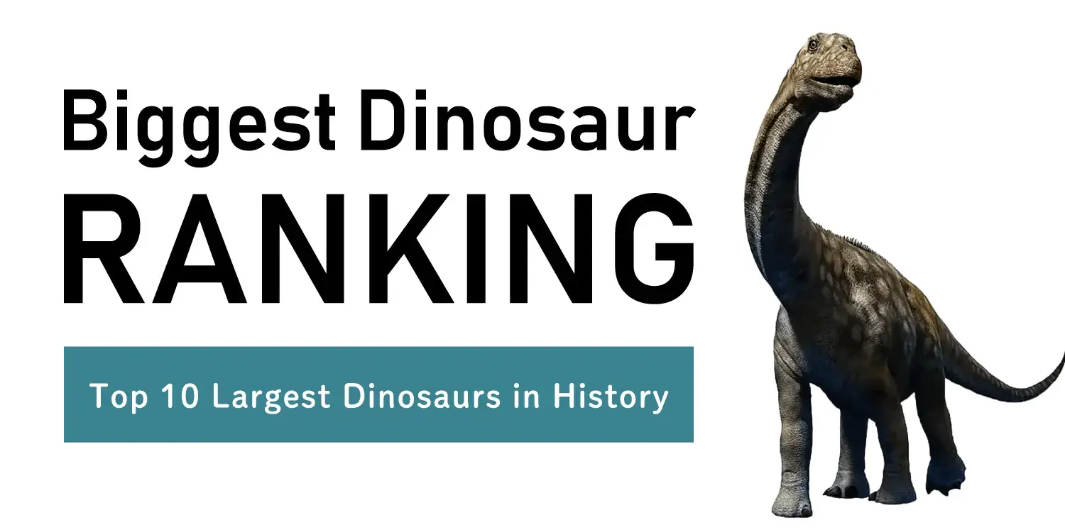 Building-Sized Giants! The Top 10 Largest Dinosaurs in History.