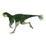 アジャンキンゲニア