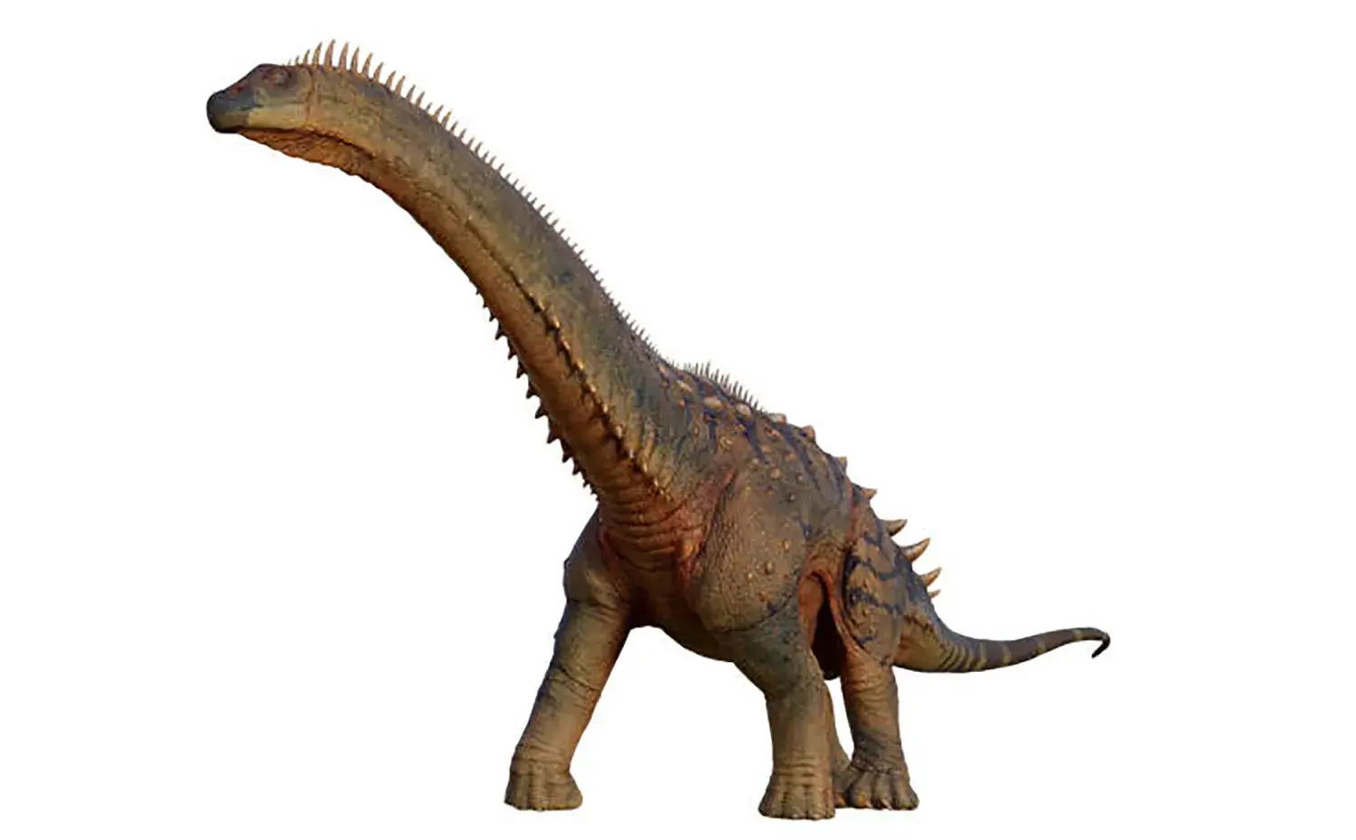 ブラキオサウルスに似た体形をしていた