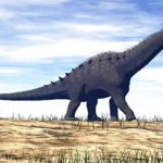 アメリカ南西部の乾燥した内陸平野に分布していた