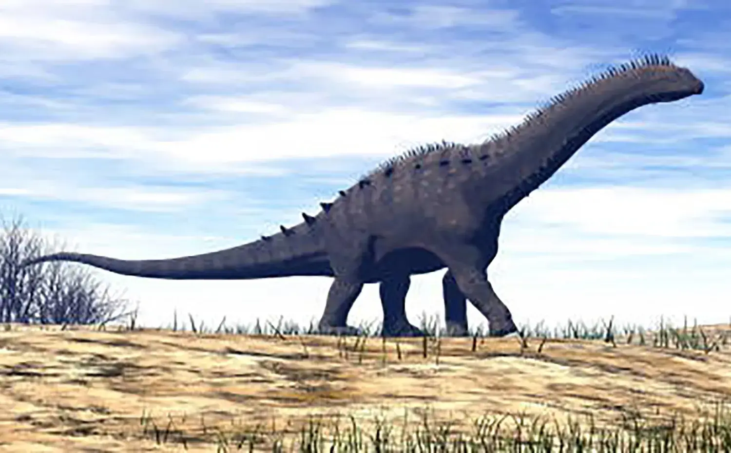 アメリカ南西部の乾燥した内陸平野に分布していた