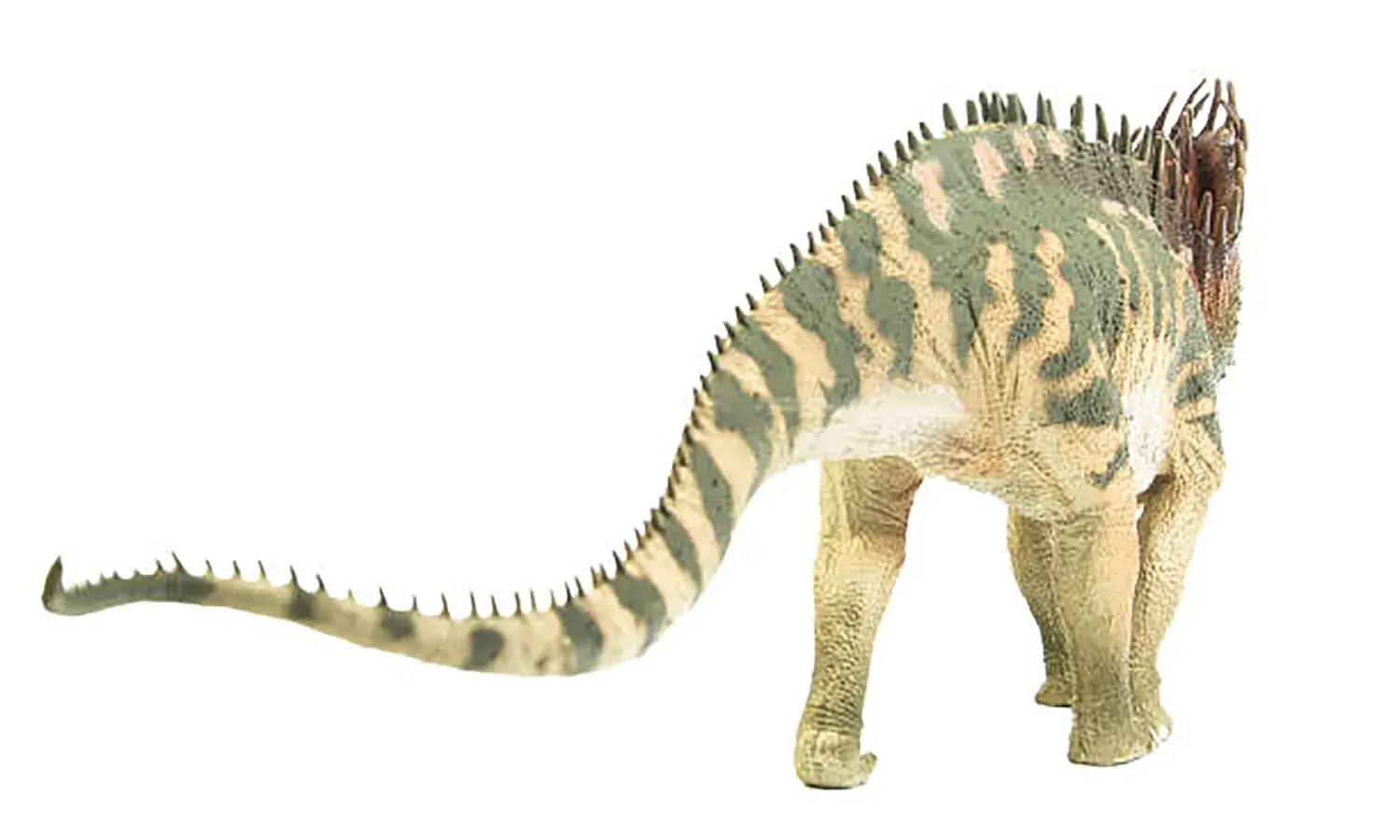 アマルガサウルス