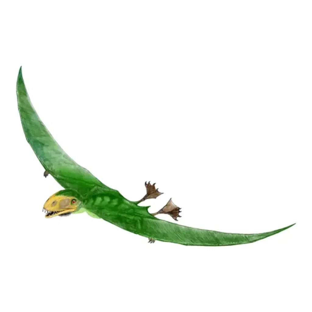 アヌログナトゥス