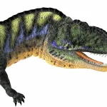 カルノタウルスなどに見られる大きな角を持っていない
