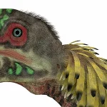 がっしりとした短いクチバシを持っていた