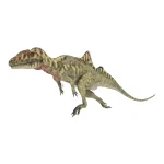 コンカヴェナトル