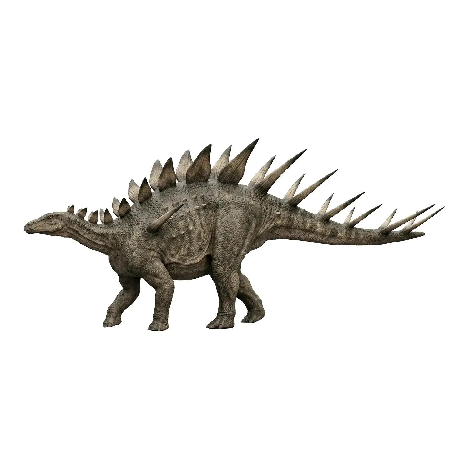 ダケントルルス