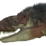 巨大な頭部と鋭い歯