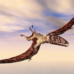 滑空や降下を中心とした飛行だったとされている