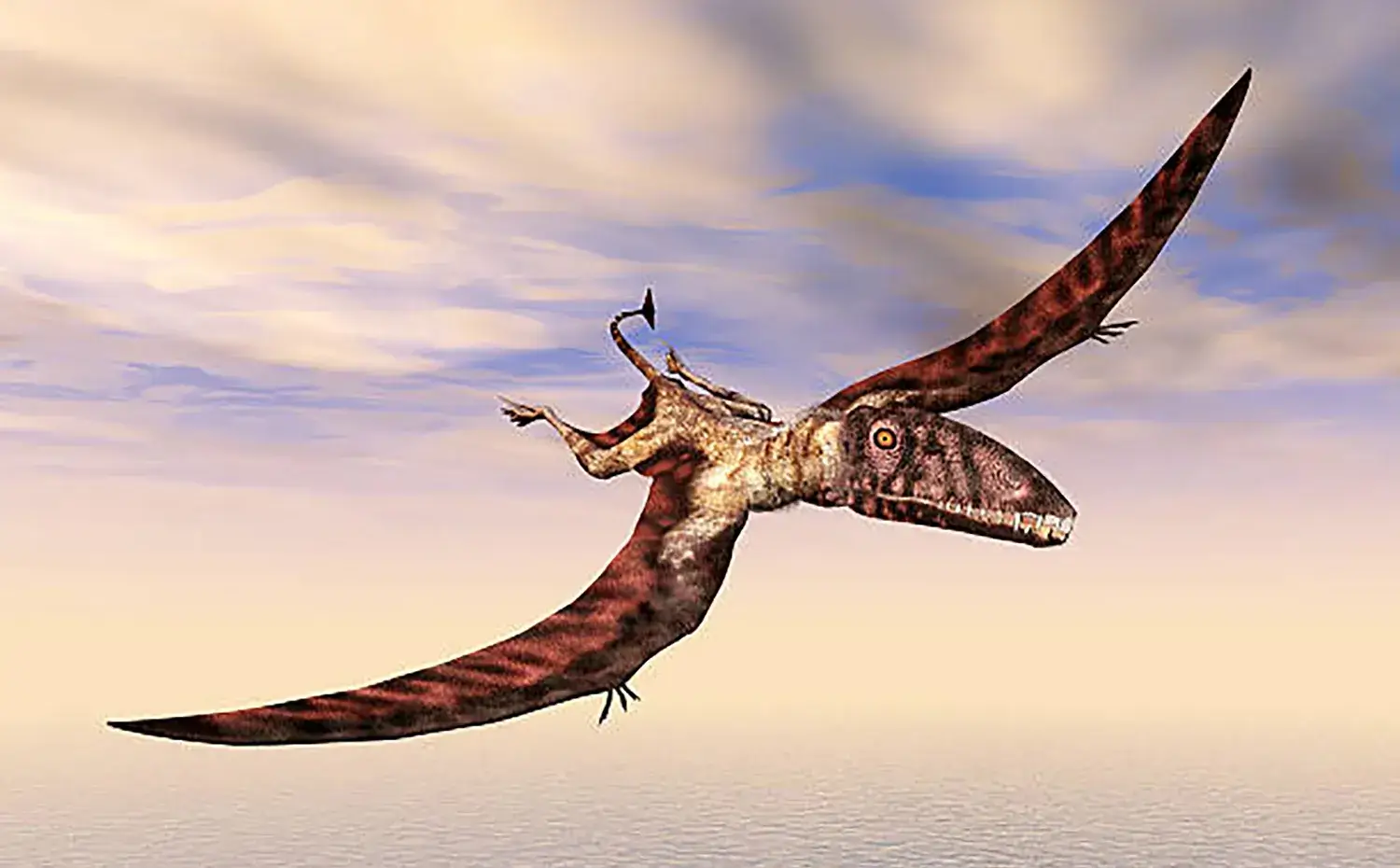 滑空や降下を中心とした飛行だったとされている