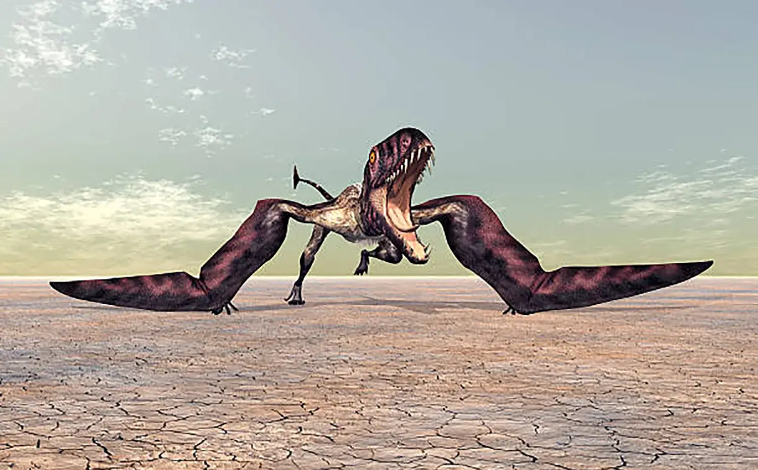 二足歩行も可能だったのではないかという説もある