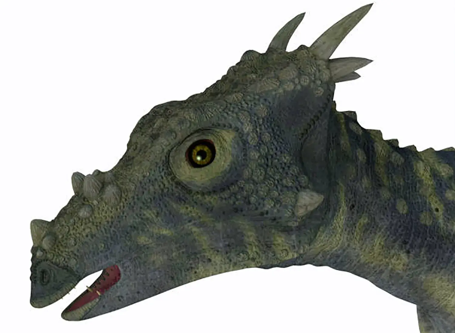 獣脚類（肉食恐竜）に似た鋭い三角形の歯が生えていることが判明した