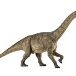 四肢はほぼ同じ長さで、水平に近い体型だったとされている。