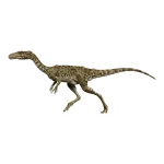 エラフロサウルス