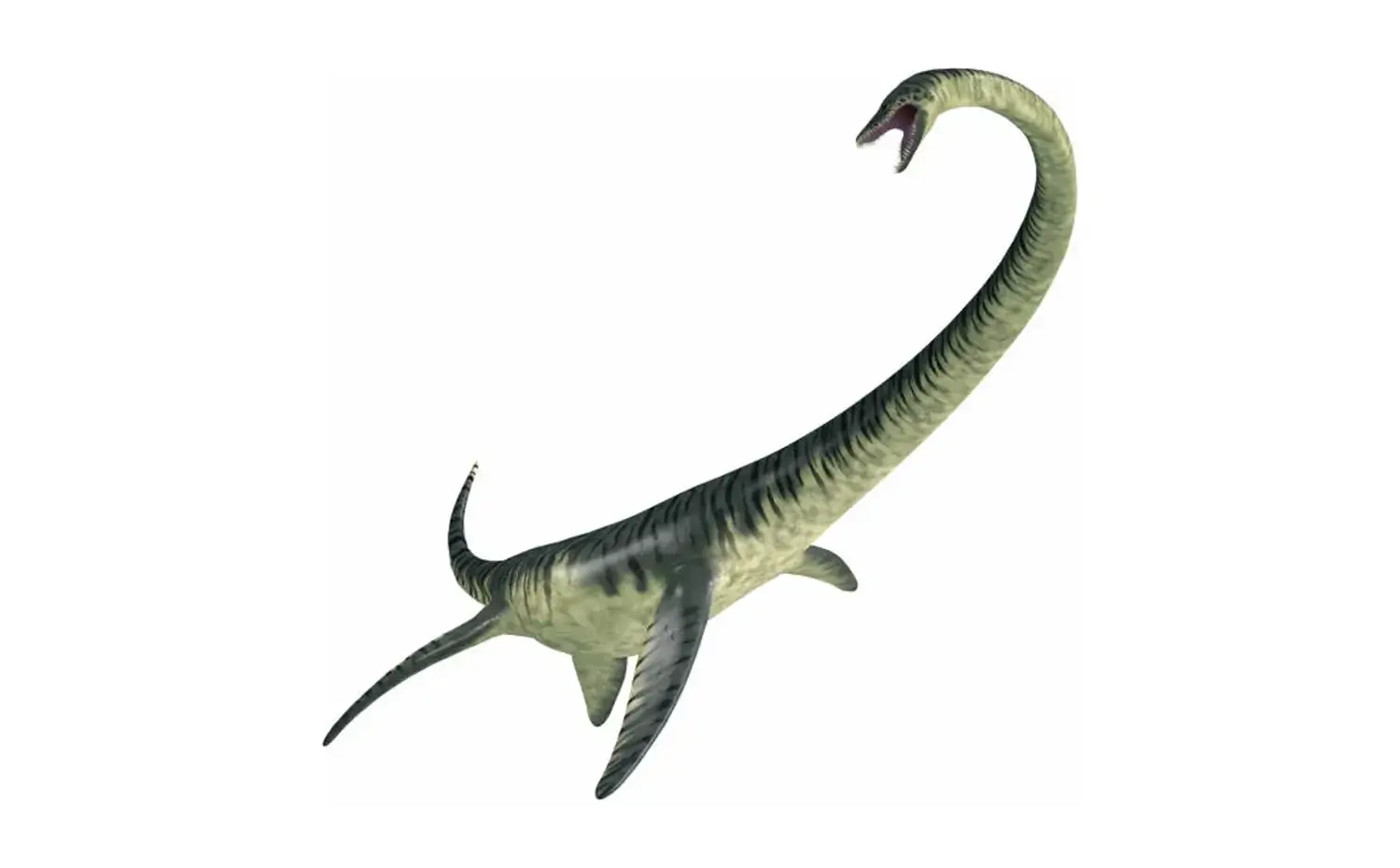 エラスモサウルス