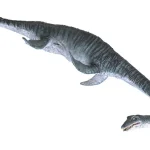 首はヘビのように柔軟な動きが可能だった