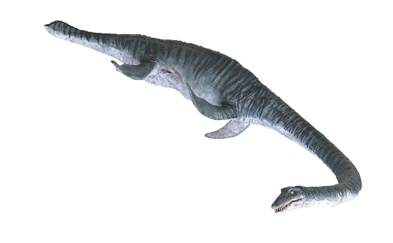 首はヘビのように柔軟な動きが可能だった