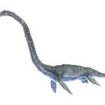 「ネッシー」のモデルになったとも言われる首長竜