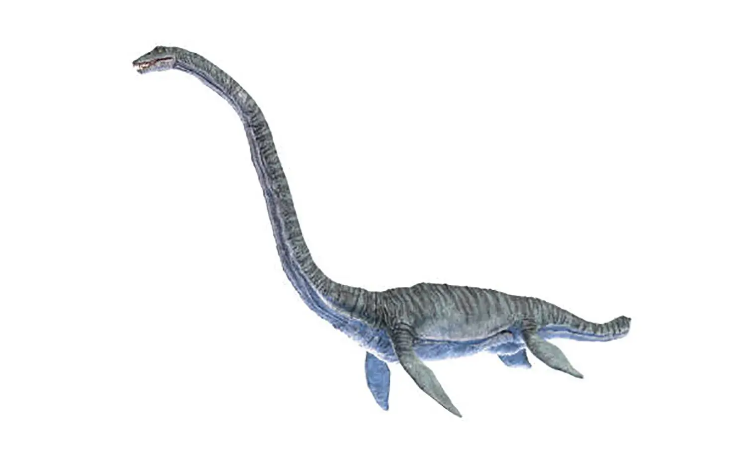 「ネッシー」のモデルになったとも言われる首長竜