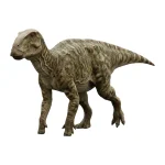 エクイジュブス