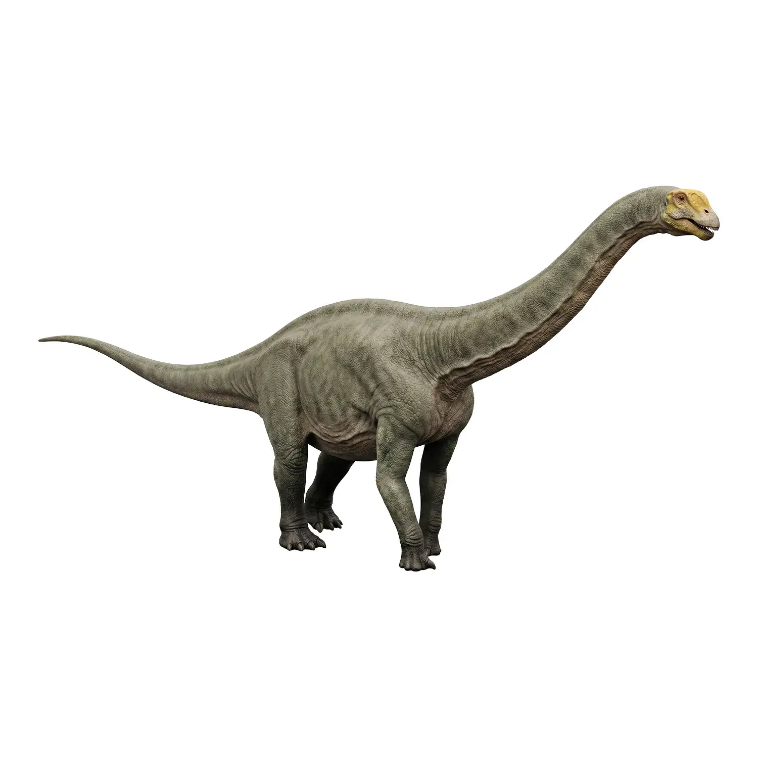 エウヘロプス