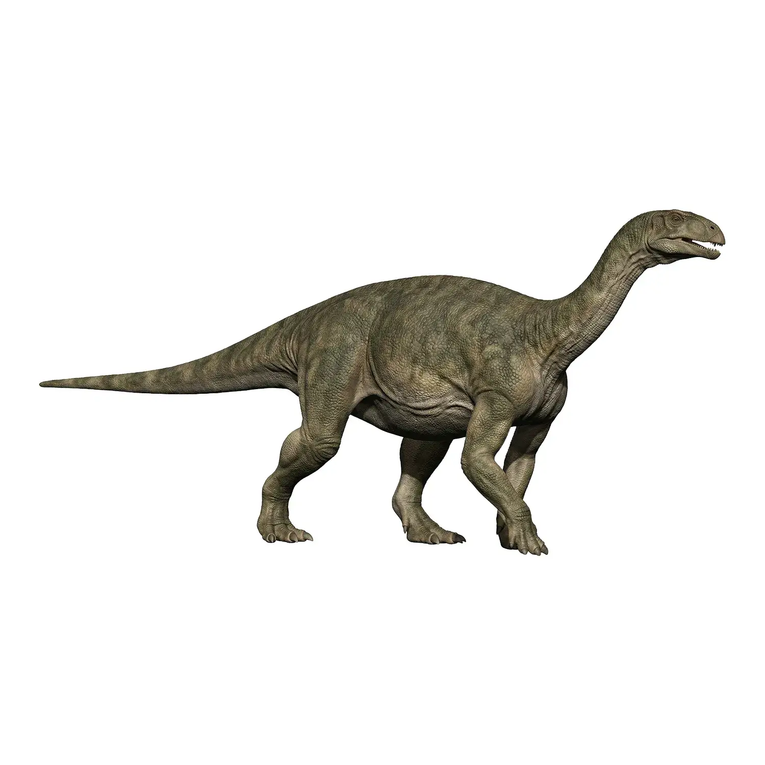 エウスケロサウルス