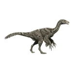 ファルカリウス