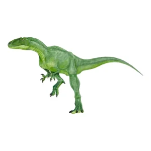 フクイラプトル (Fukuiraptor) | 恐竜大百科