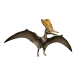 ゲオステルンベルギア