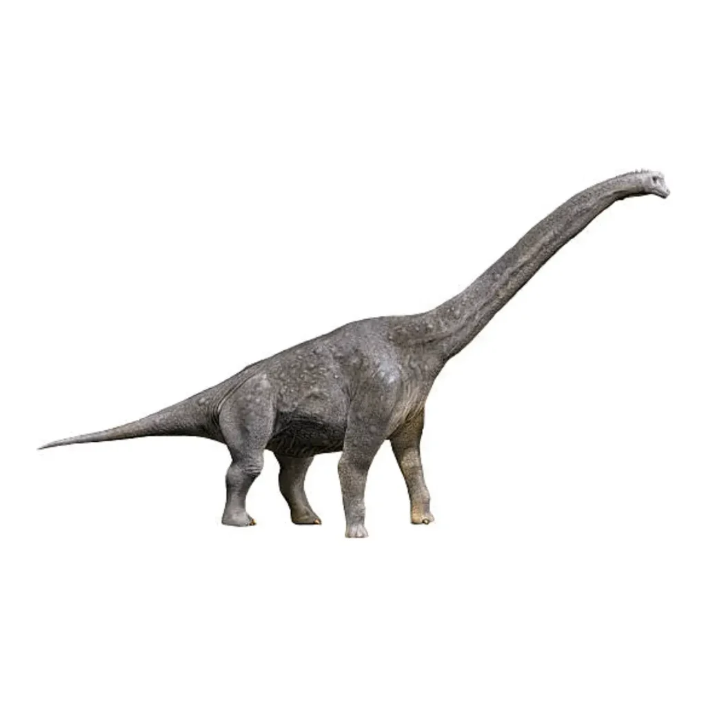 ギラファティタン