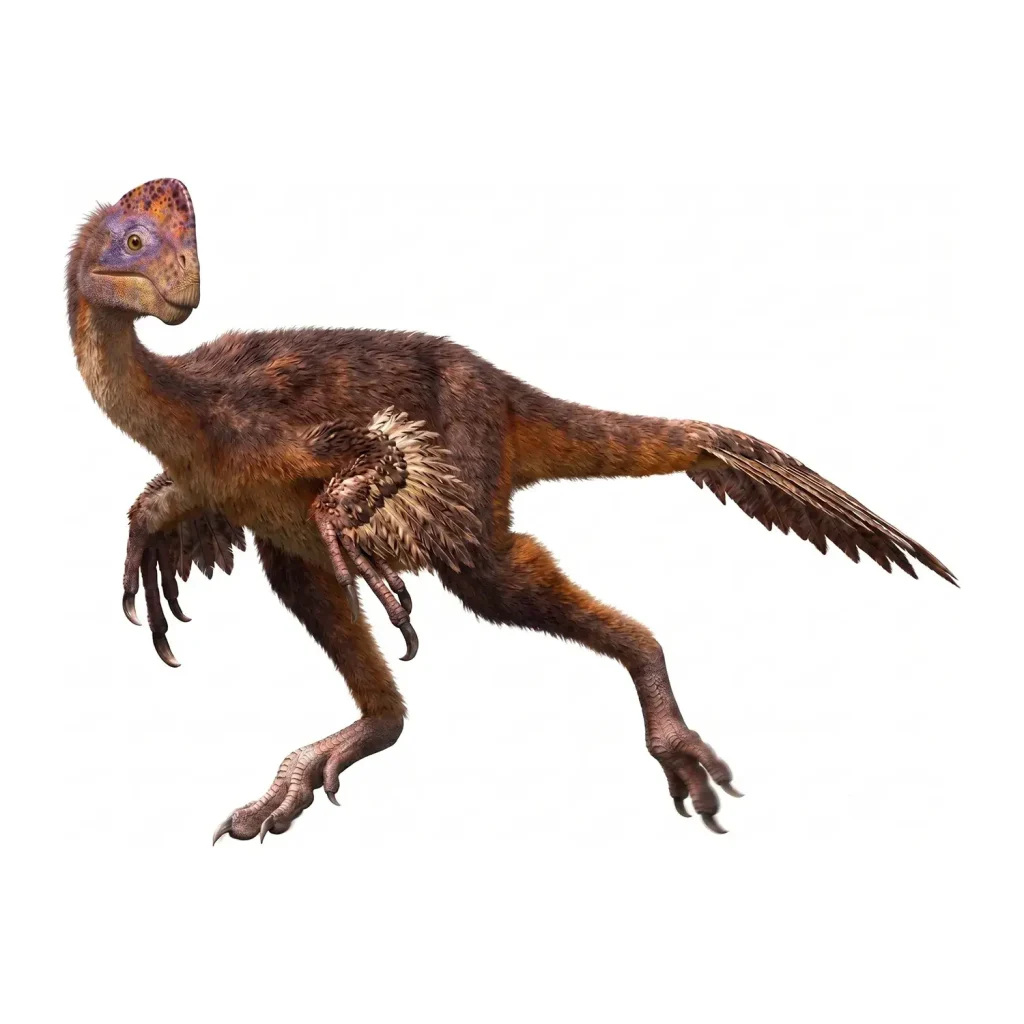 フアナンサウルス