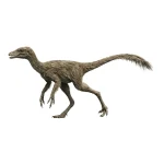 ファシャグナトゥス