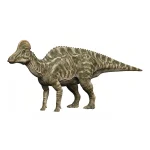 ヒパクロサウルス