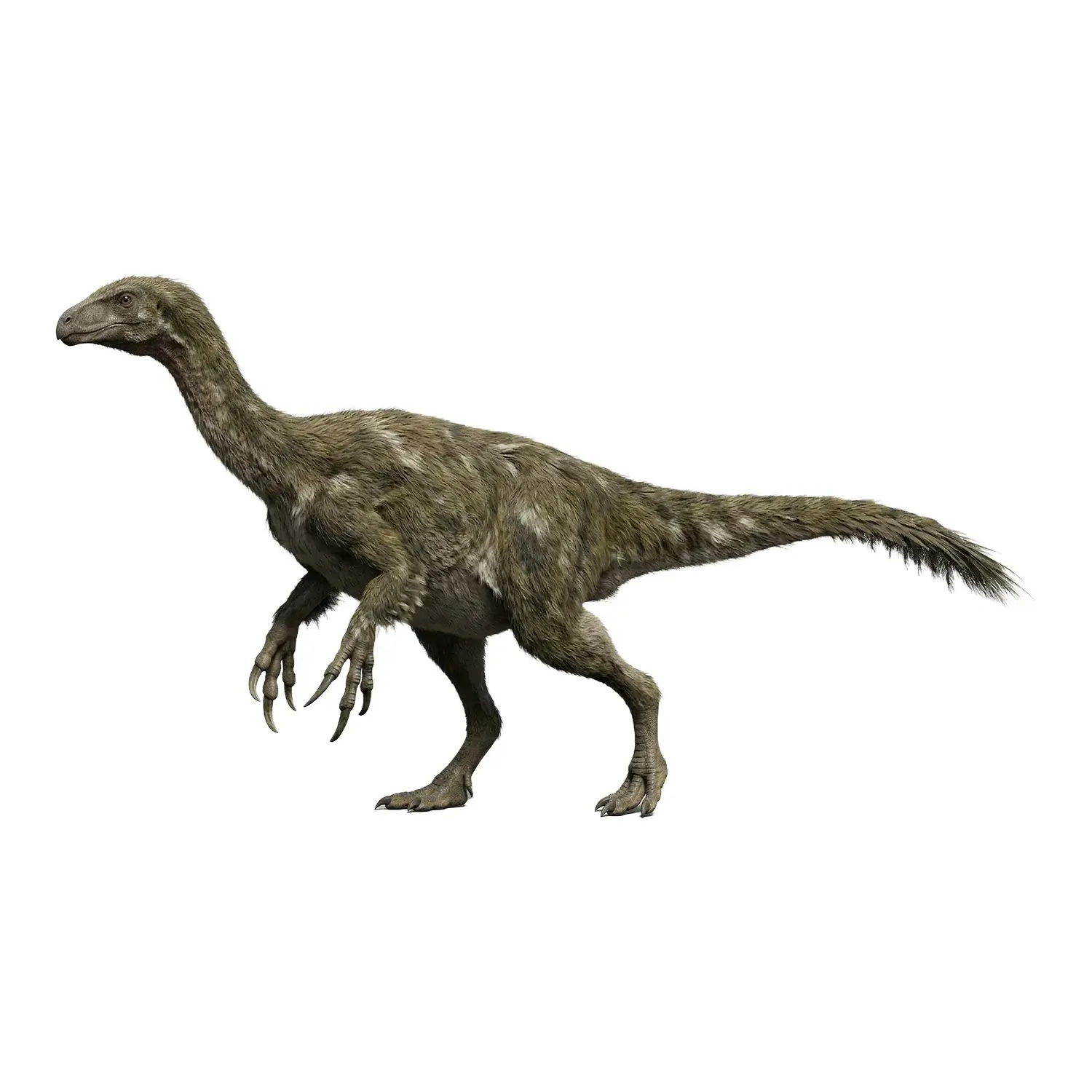 ジアンチャンゴサウルス