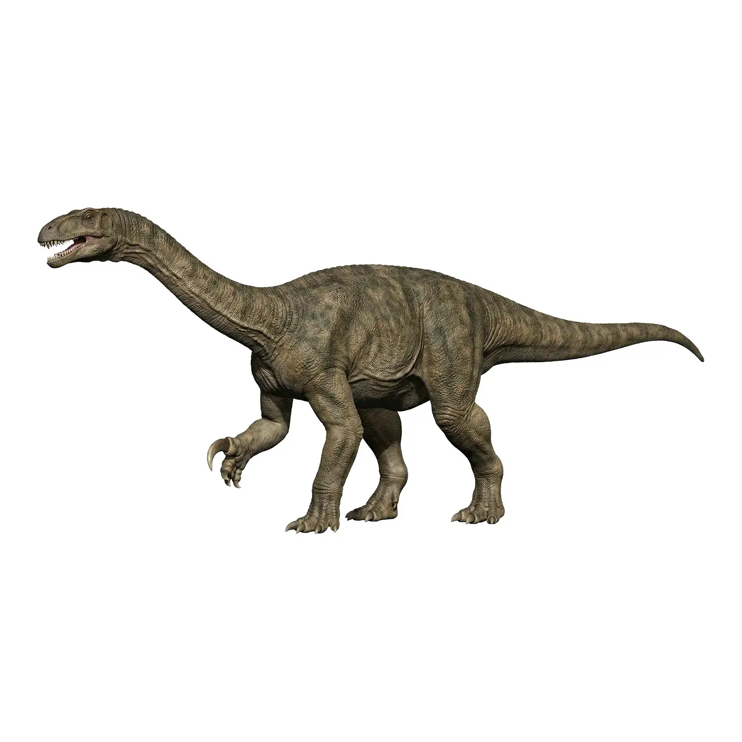 ジンシャノサウルス