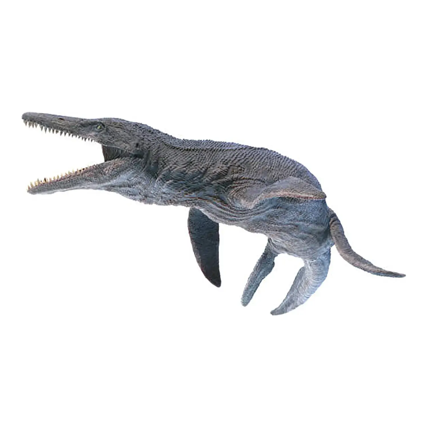 クロノサウルス